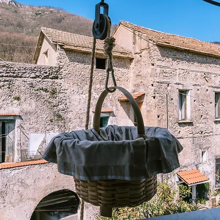 Lucy's Amalfi Coast *