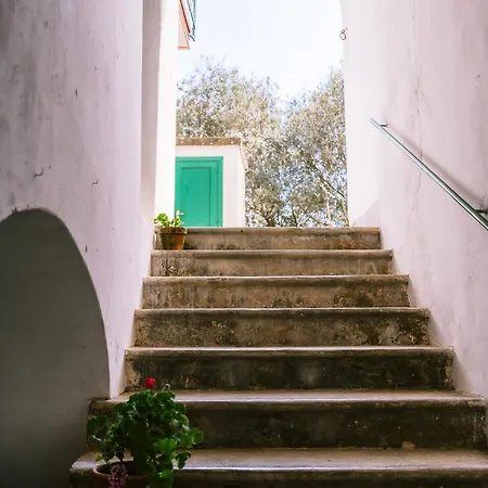 Lucy's Amalfi Coast
