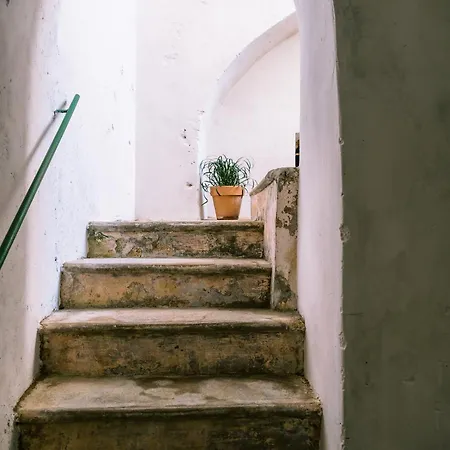 Lucy's Amalfi Coast Tramonti