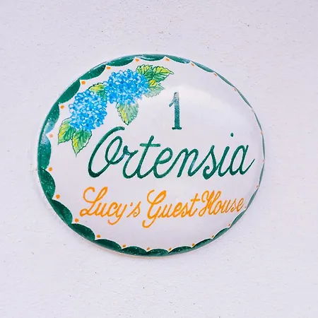 Lucy's Amalfi Coast *